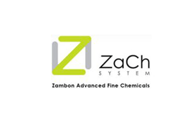 logo zach system